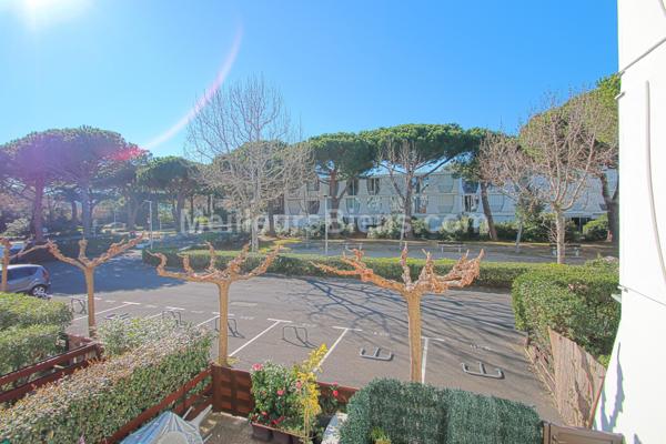 Vente studio La Grand Motte 34280 Le Couchant Petite motte