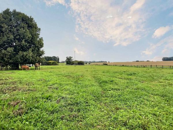 Maison familiale 7 pièces – 155 m² – Campagne de Fauville-en-Caux – 1,2 ha de terrain