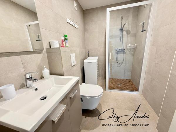 VIGGIANELLO : Villa type T3 + appartement T2, grande terrasse, garage fermé et vaste atelier, à proximité de PROPRIANO et des plages