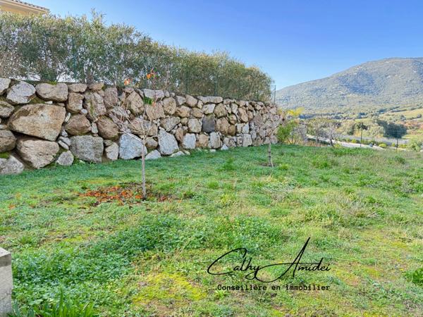 VIGGIANELLO : Villa type T3 + appartement T2, grande terrasse, garage fermé et vaste atelier, à proximité de PROPRIANO et des plages