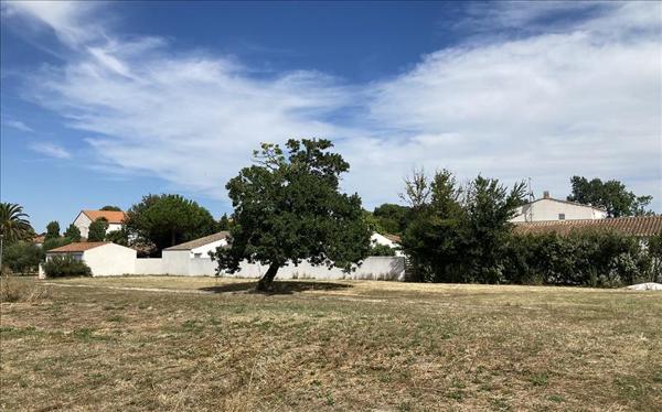 Terrain à vendre |  Saint-Denis-d'Oléron |  1265 m²