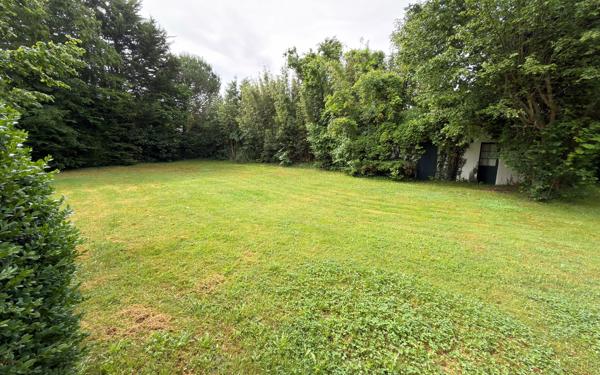 Terrain à vendre