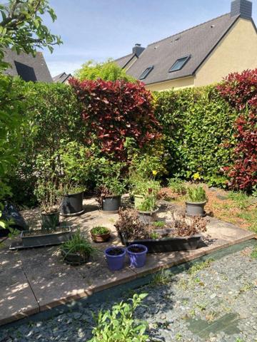 Maison individuelle à louer à Montfort-sur-Meu en Ille-et-Vilaine (35160), ref : 050/148