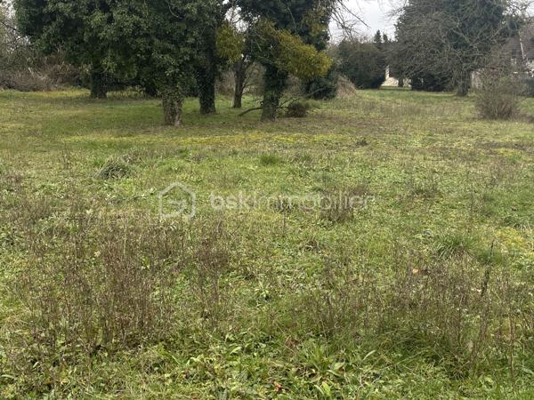 Terrain de 1 500 m²