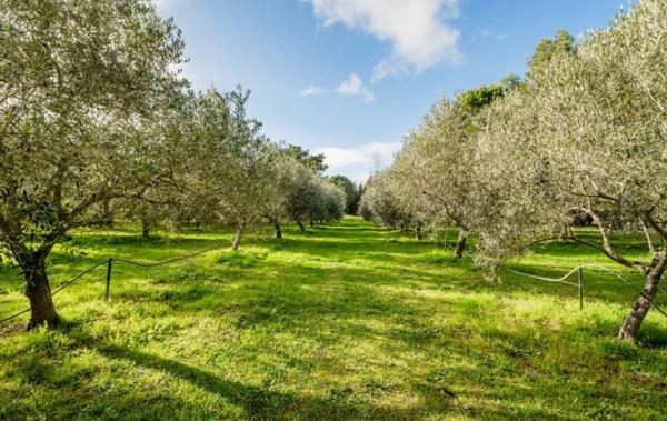 Vente Villa Villa avec parc arboré Beziers