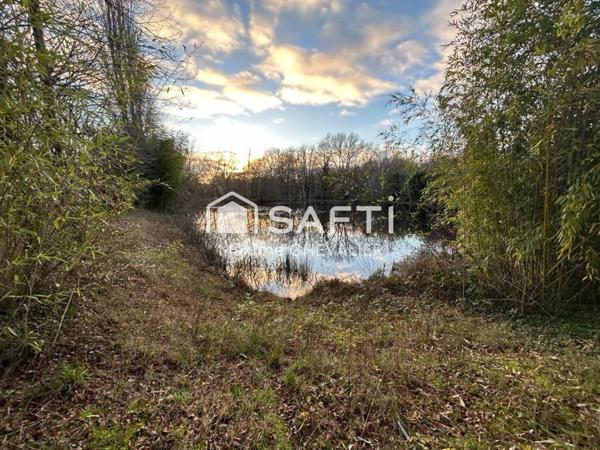 Étang paisible à Cluis