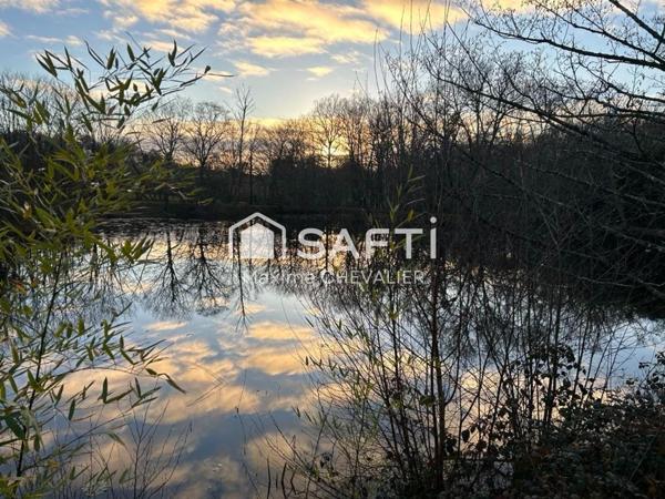 Étang paisible à Cluis