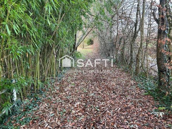 Étang paisible à Cluis