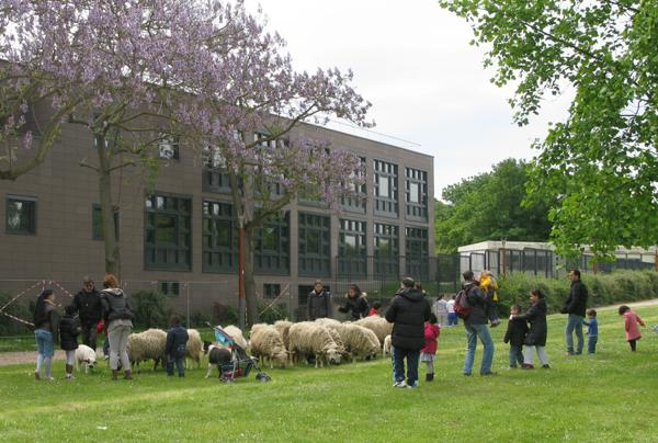 Nanterre (92000) Duplex de 5 pièces de 137,03 m² avec les deux vérandas, un double garage, un jardinet et un sous-sol total