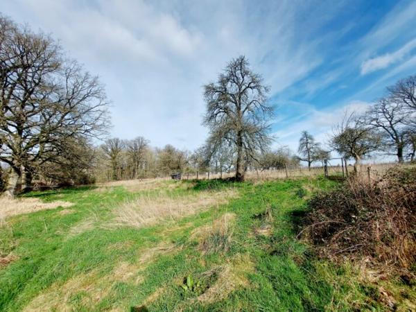 MAISON 3 CHAMBRES + DEPENDANCES - 53100 MAYENNE Réf. 53053 | 199 000 €