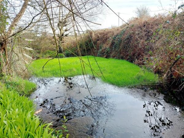 MAISON 3 CHAMBRES + DEPENDANCES - 53100 MAYENNE Réf. 53053 | 199 000 €