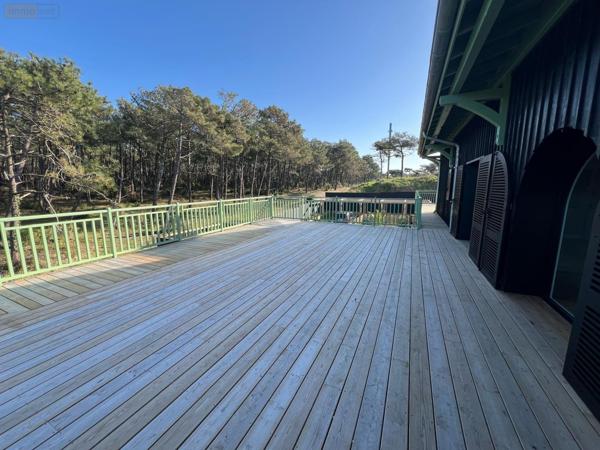 Duplex à vendre à Lège-Cap-Ferret en Gironde (33950), ref : 33010/163   
HORIZON