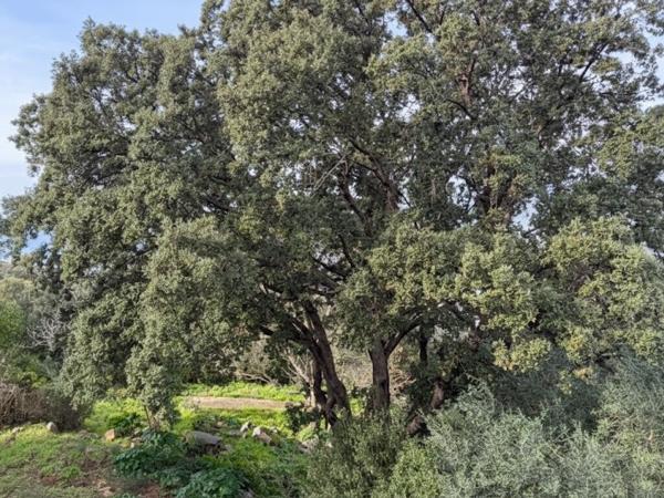 Maison 7 pièces - 160 m²