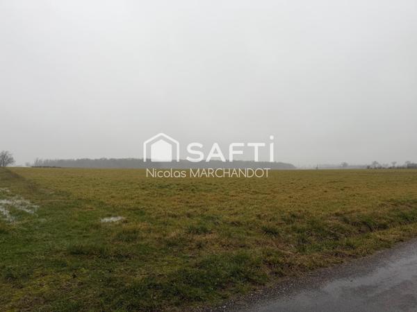 NAUCELLE-Terrain industriel 2 hectares