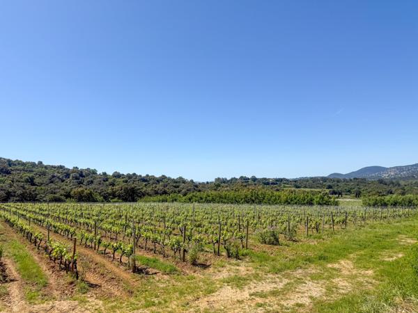 Maison à vendre  6 pièces - 183 m2 LA CROIX VALMER - 83