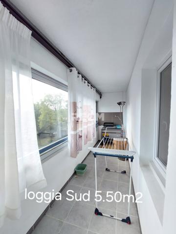 Pau (64000) PAU, T3 , 83 m2 loggias- terrasse fermée- ascenseur- garage- cave.