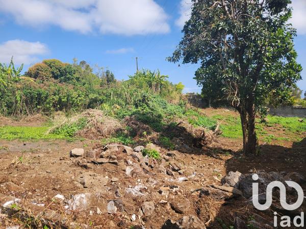 Terrain à vendre 435 m² Le Tampon