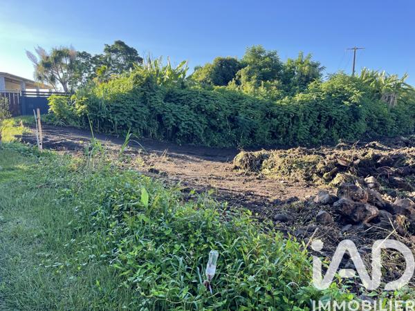 Terrain à vendre 435 m² Le Tampon