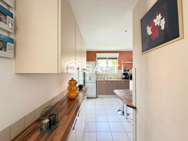 PERPIGNAN,SECTEUR CATALUNYA, MAISON 4 FACES PLAIN PIED, EXTERIEUR ARBORE, PISCINE