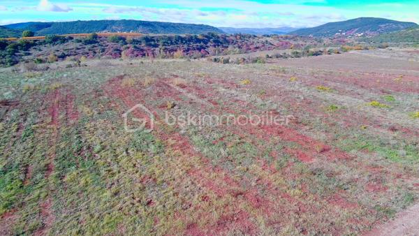 Terrain agricole de 12 406 m²