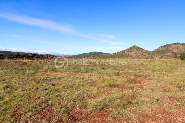 Terrain agricole de 12 406 m²
