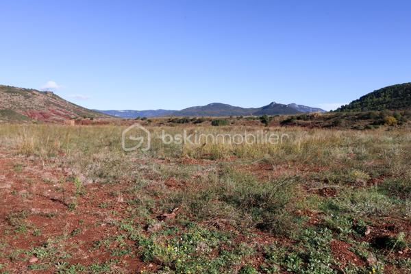 Terrain agricole de 12 406 m²