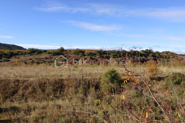 Terrain agricole de 12 406 m²
