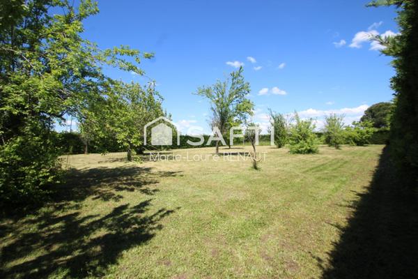 Terrain plat et arboré de 2 000 m² dans un cadre paisible, proche de Gaillac