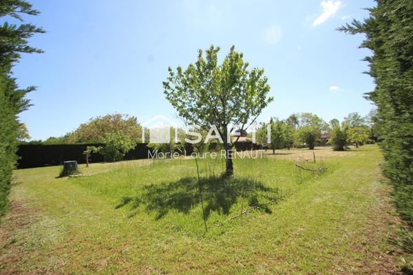 Terrain plat et arboré de 2 000 m² dans un cadre paisible, proche de Gaillac