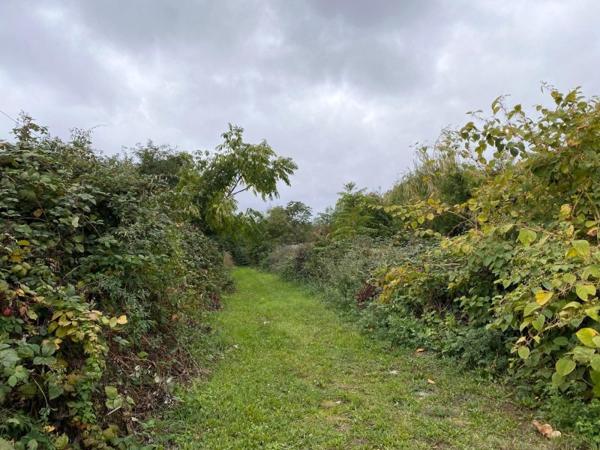 Vente / Terrain constructible