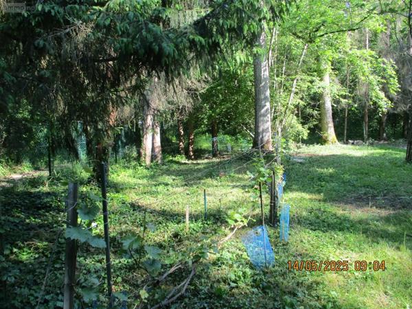 Achat - Terrain de loisirs, bois, étangs Tours-sur-Marne 51150 1190 m 2