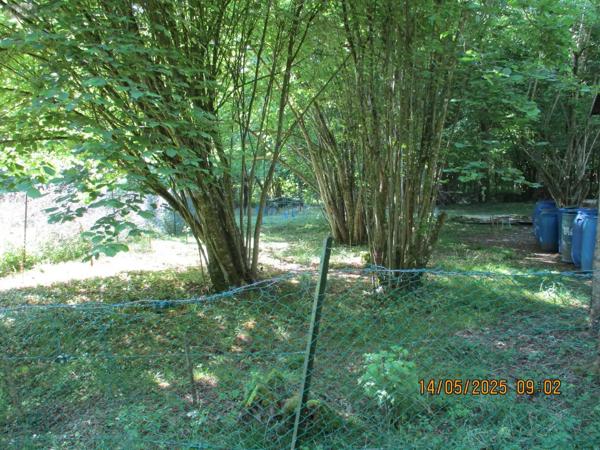 Achat - Terrain de loisirs, bois, étangs Tours-sur-Marne 51150 1190 m 2