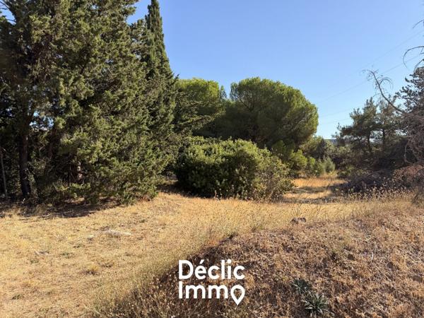 Vente terrain de loisir Villeneuve les maguelone, 87 000€ Hérault Languedoc roussillon N°