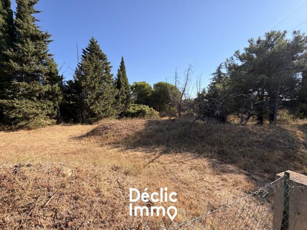 Vente terrain de loisir Villeneuve les maguelone, 87 000€ Hérault Languedoc roussillon N°