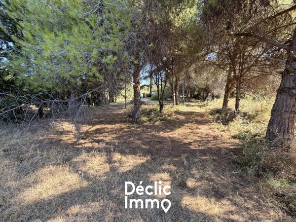 Vente terrain de loisir Villeneuve les maguelone, 87 000€ Hérault Languedoc roussillon N°