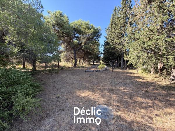 Vente terrain de loisir Villeneuve les maguelone, 87 000€ Hérault Languedoc roussillon N°