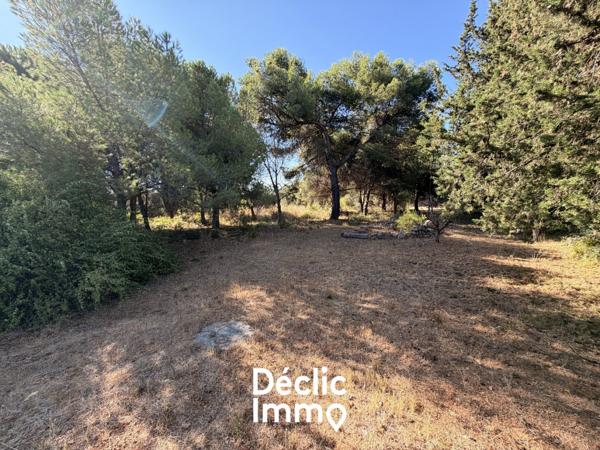 Vente terrain de loisir Villeneuve les maguelone, 87 000€ Hérault Languedoc roussillon N°