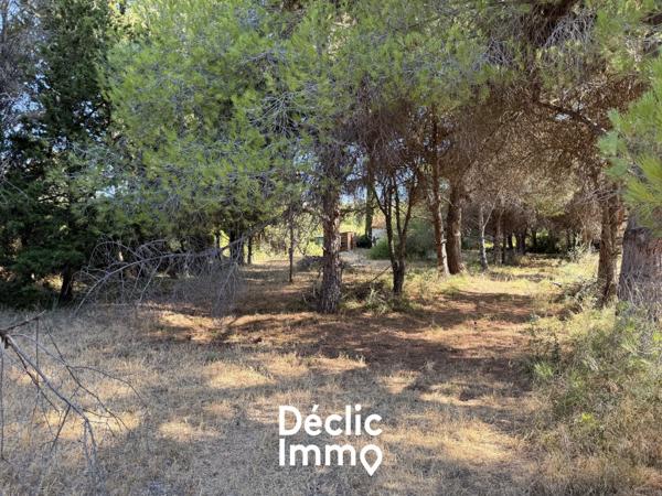 Vente terrain de loisir Villeneuve les maguelone, 87 000€ Hérault Languedoc roussillon N°
