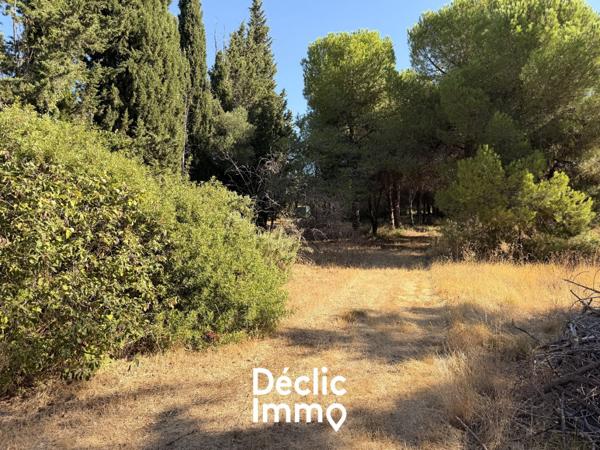 Vente terrain de loisir Villeneuve les maguelone, 87 000€ Hérault Languedoc roussillon N°