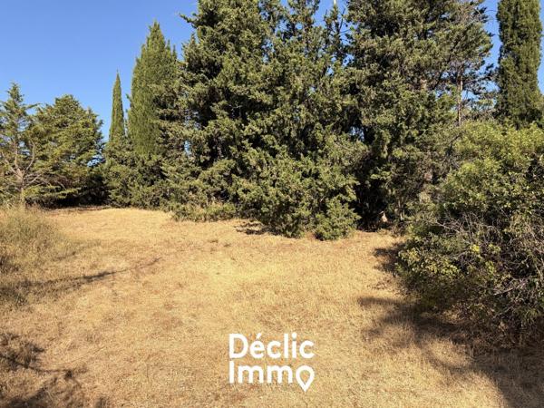 Vente terrain de loisir Villeneuve les maguelone, 87 000€ Hérault Languedoc roussillon N°