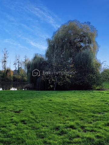 Terrain de 10 000 m²