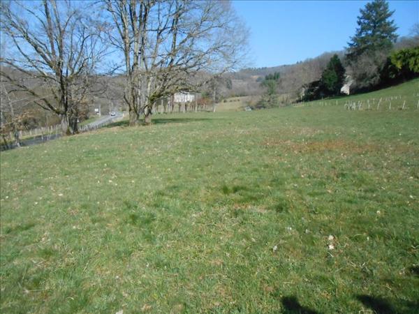 Terrain à vendre |  Altillac |  3025 m²