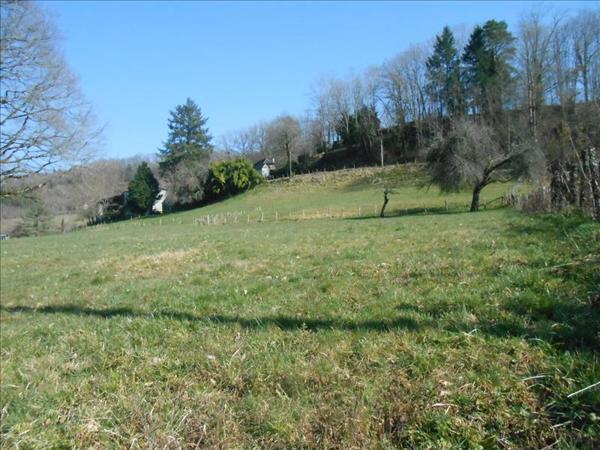 Terrain à vendre |  Altillac |  3025 m²