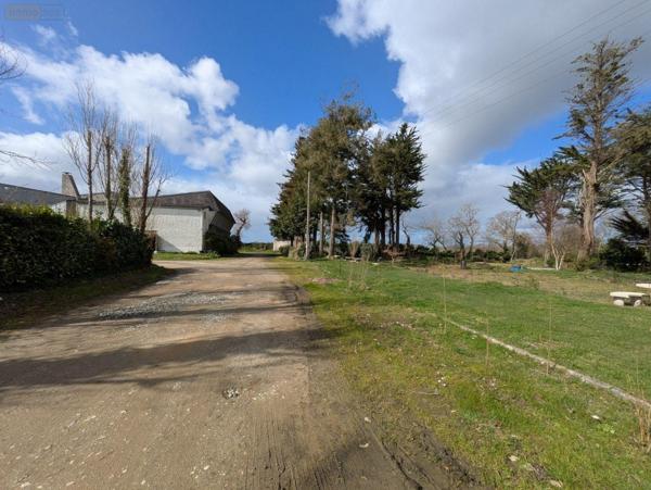 Murs commerciaux à vendre à Clohars-Carnoët dans le Finistère (29360), ref : 29114-143