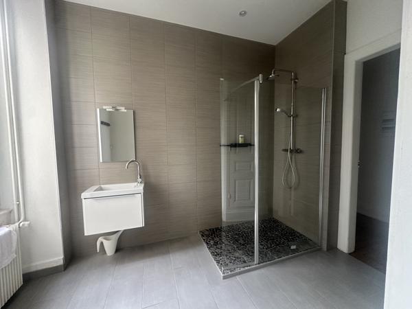 TRES BEAUX BUREAUX OU APPARTEMENT -PARC SALVATOR -MULHOUSE CENTRE