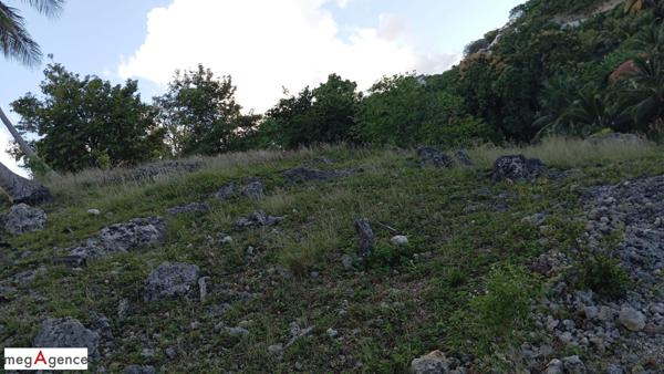 Terrain à LE GOSIER, 97190 - 2995m²