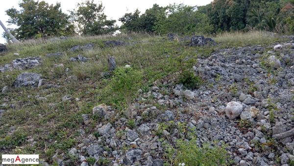 Terrain à LE GOSIER, 97190 - 2995m²
