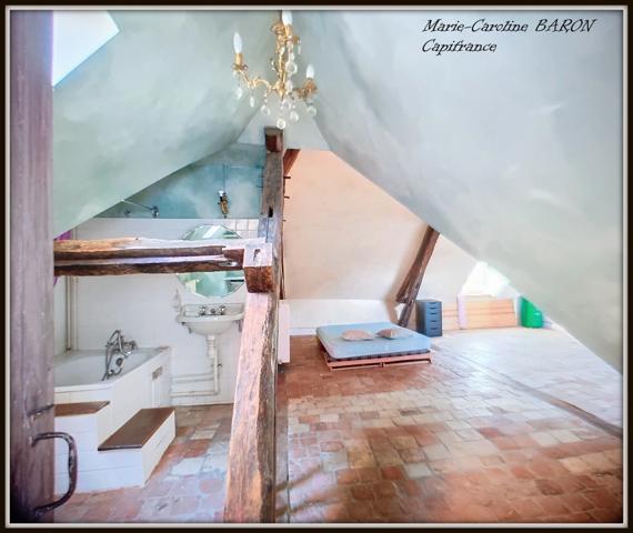 BUZANCAIS (36)maison atypique 3 chambres grandes surfaces