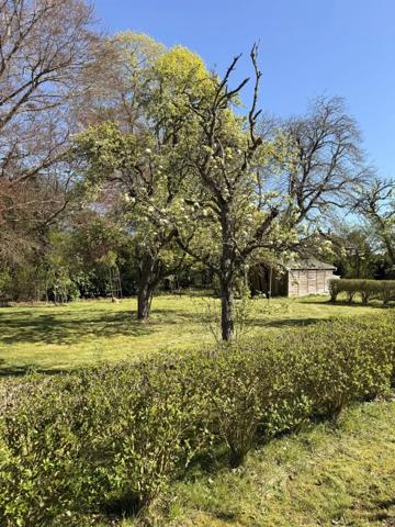 Vente                                                      Propriété
                        
                     7 pièces                      180 m2                     à Anet