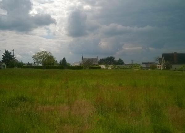 Terrain à vendre    Muides-sur-Loire